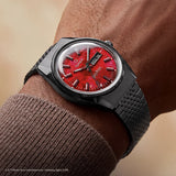 Timex Harry Potter x Q Timex Sorcerer's Stone - TW2Y99700X6