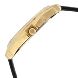 Titan Silver Dial Black Leather Strap Watch 1578YL04