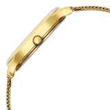 Titan Karishma Quartz Analog Watch for Men 1825ym11