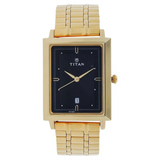 Titan Quartz Analog with Date Black Dial Stainless Steel Strap Watch for Men 1715YM03