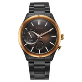 Titan Stellar Quartz Multifunction Brown Dial Stainless Steel Strap Watch for Men 10009KM02