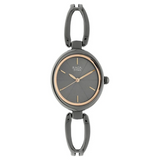 Titan Raga Viva Anthracite Dial Women Watch With Metal Strap 2579QM01