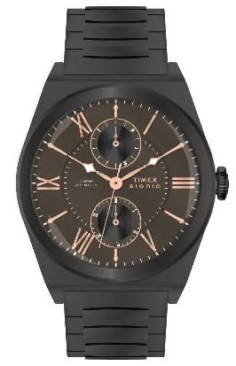 Timex Signio Eclipse Black Dial Watch TWEG34502 - KRISHNA WATCH COMPANY