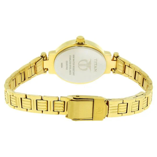 Titan Quartz Analog Champagne Dial Watch - 2535YM01 - KRISHNA WATCH COMPANY