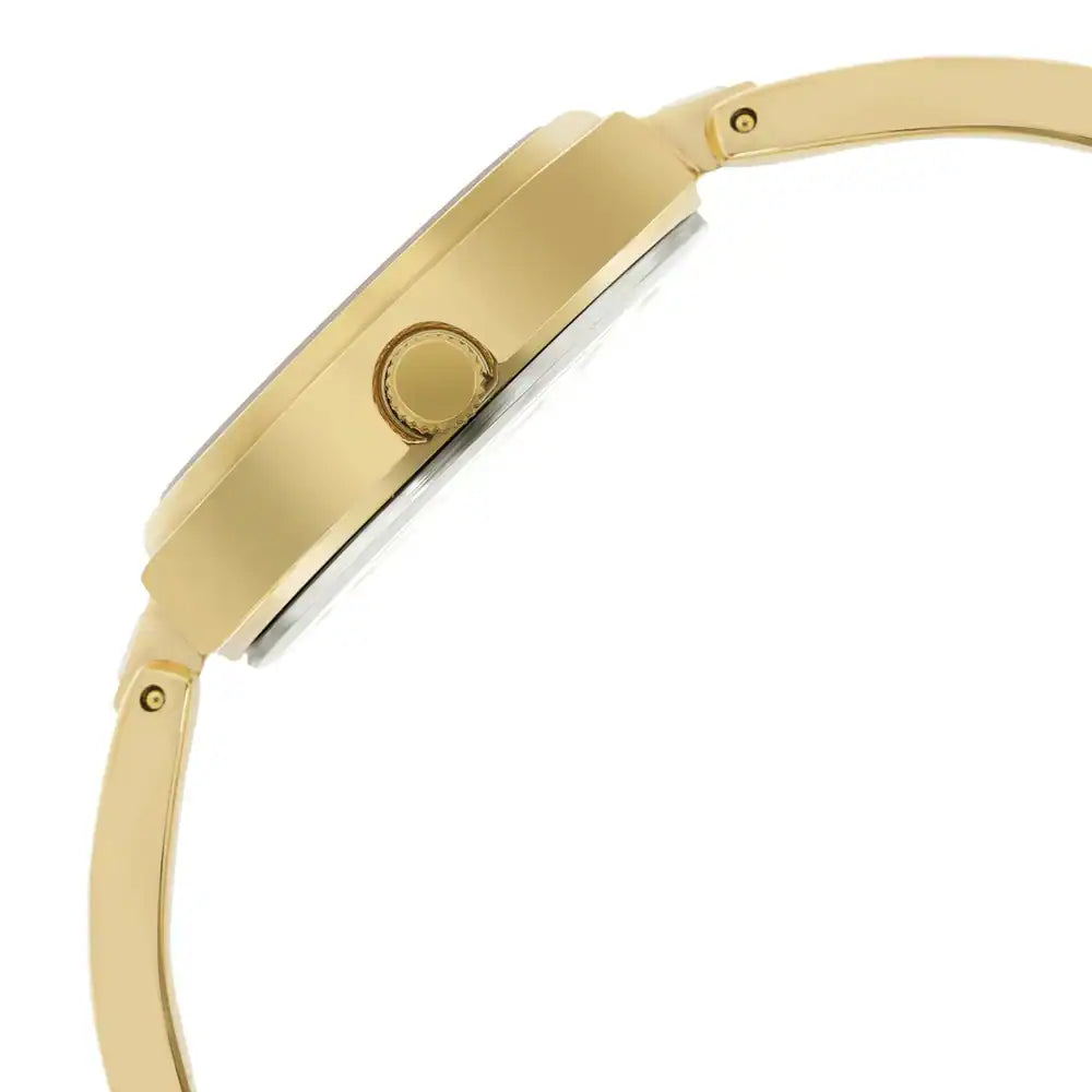 TITAN Champagne Dial Golden Metal Strap Watch 2601YM02(DH416) - KRISHNA WATCH COMPANY