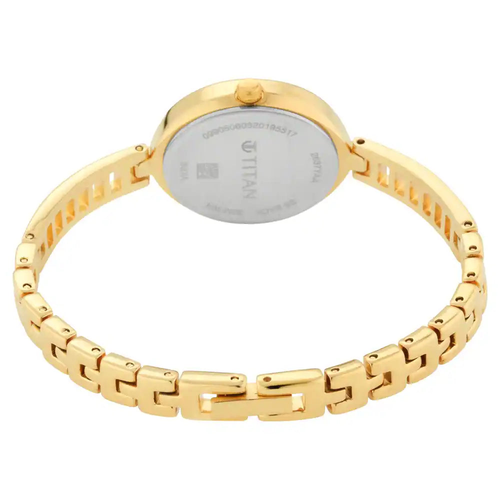 Titan Gold Dial Analog Watch - 2637YM01 - KRISHNA WATCH COMPANY