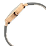 Titan Women's Regal: Roman Numeral Watch 2652wl02