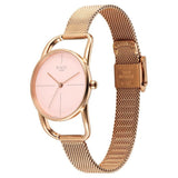 Titan Raga Chic Quartz Analog Pink Dial Metal Strap Watch for Women 2696WM01