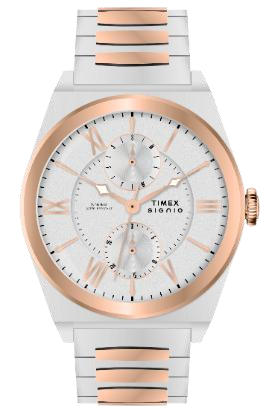 Timex Signio Eclipse Silver Dial Watch TWEG34500 - KRISHNA WATCH COMPANY