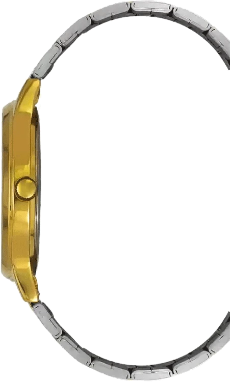 Analog Watch - For Men TW000R450 - KRISHNA WATCH COMPANY