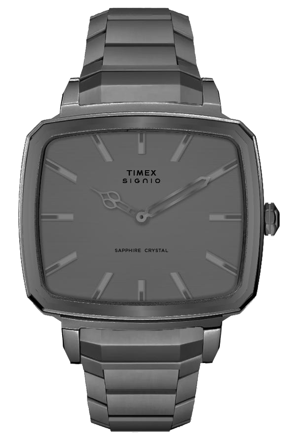 Timex Signio Zephyr Gunmetal Dial Watch TWEG34102 - KRISHNA WATCH COMPANY