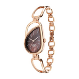 Titan Raga Chic Quartz Analog Brown Dial Rose Gold Metal Strap Watch for Women 2688WM01