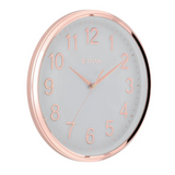 Titan Classic White Metallic Finish Wall Clock with Silent Sweep Technology - W0001PA02A