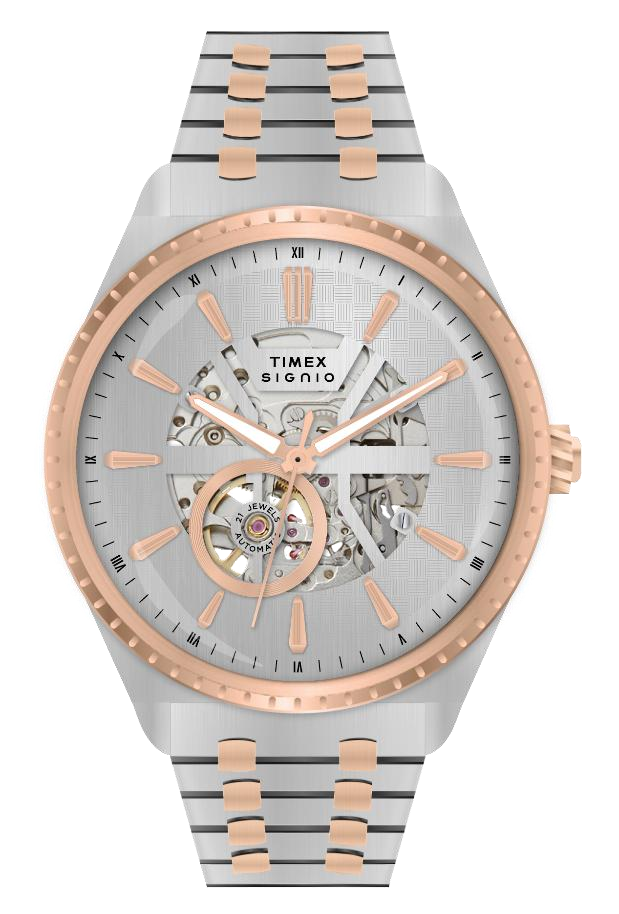 Timex Signio Axium Two Tone Dial Watch TWEG34000 - KRISHNA WATCH COMPANY