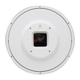 Titan Classic Rose Gold Wall Clock with Silent Sweep Technology - NTW0001PA03