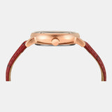 Timex | Cosmic Typography Black Dial Women's Watch - TWEL20300