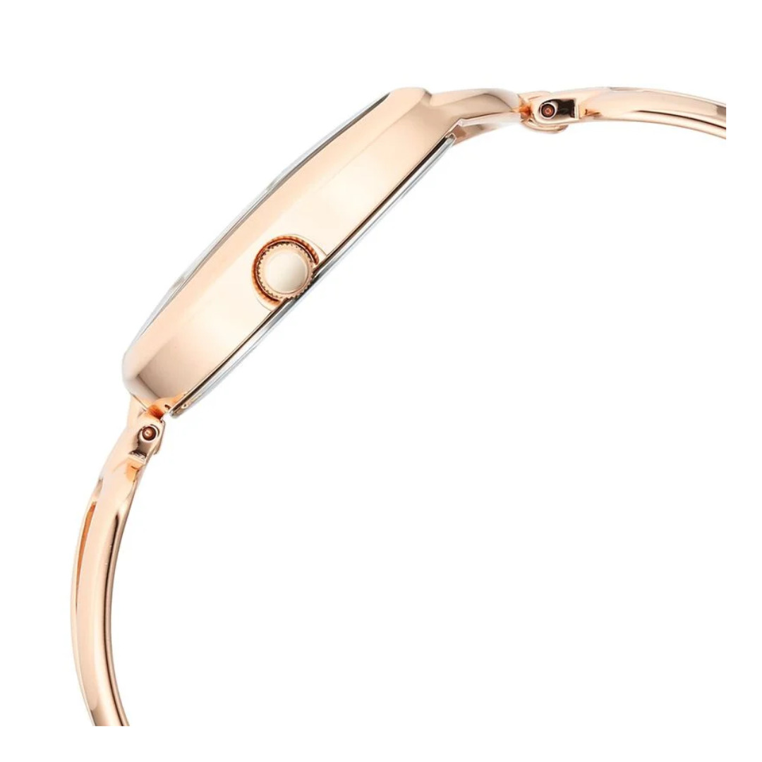 Titan Raga Chic Quartz Analog Brown Dial Rose Gold Metal Strap Watch for Women 2688WM01 - KRISHNA WATCH COMPANY