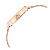 Titan Raga Viva Brown Dial Analog Watch for Women - 2665WM01