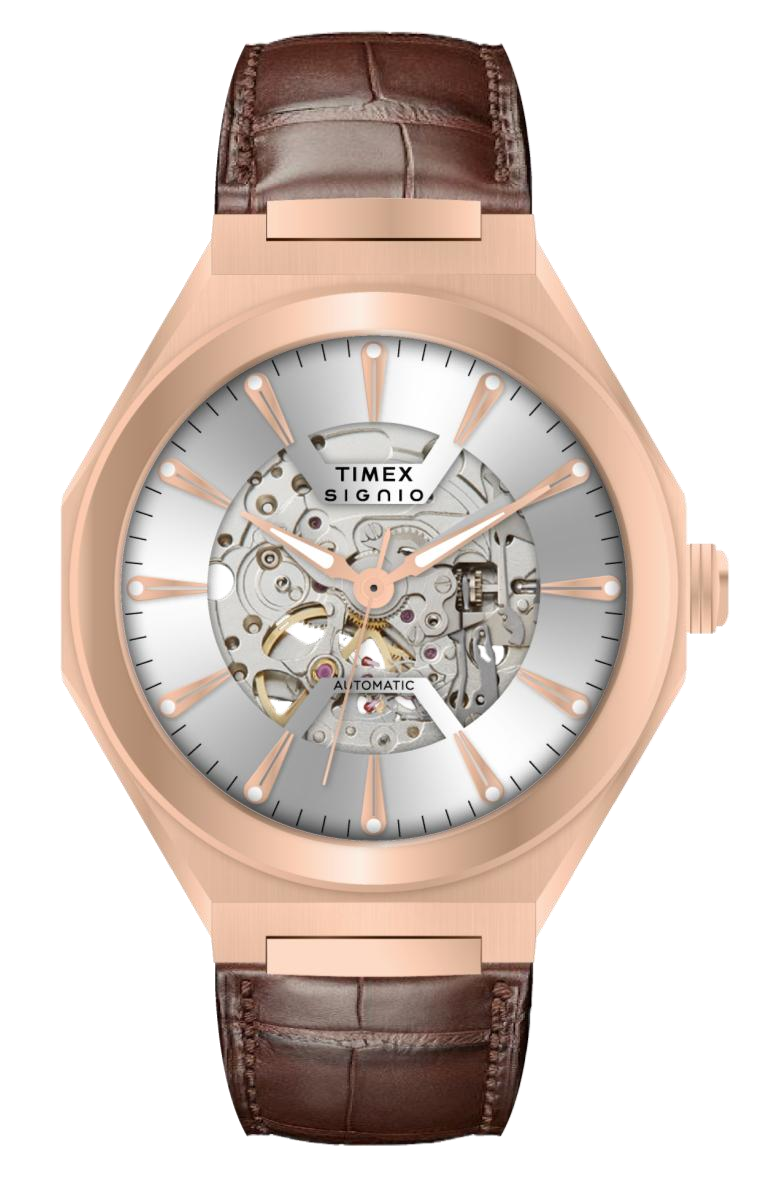 Timex Signio Stratos Silver Dial Watch TWEG33900 - KRISHNA WATCH COMPANY