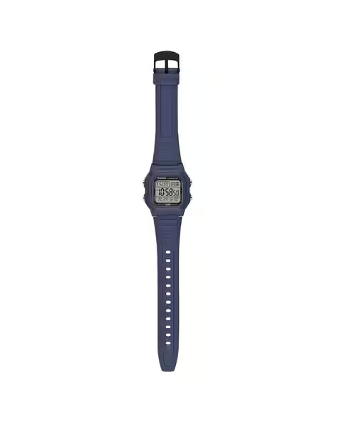 Casio YOUTH W800H-2AVDF - D333 - KRISHNA WATCH COMPANY