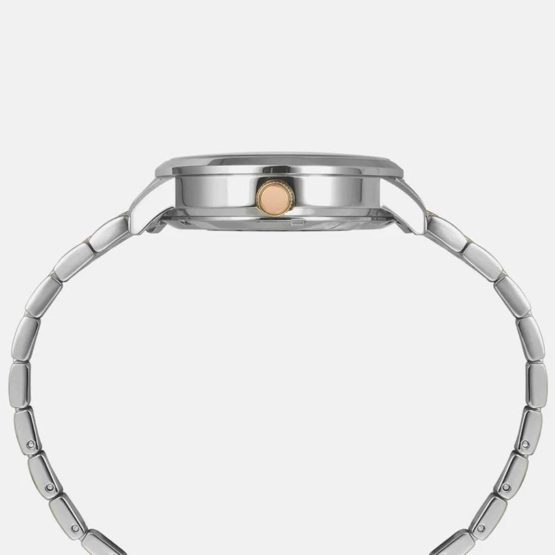 Timex E Class Male Silver Analog Stainless Steel Watch TWEG23503