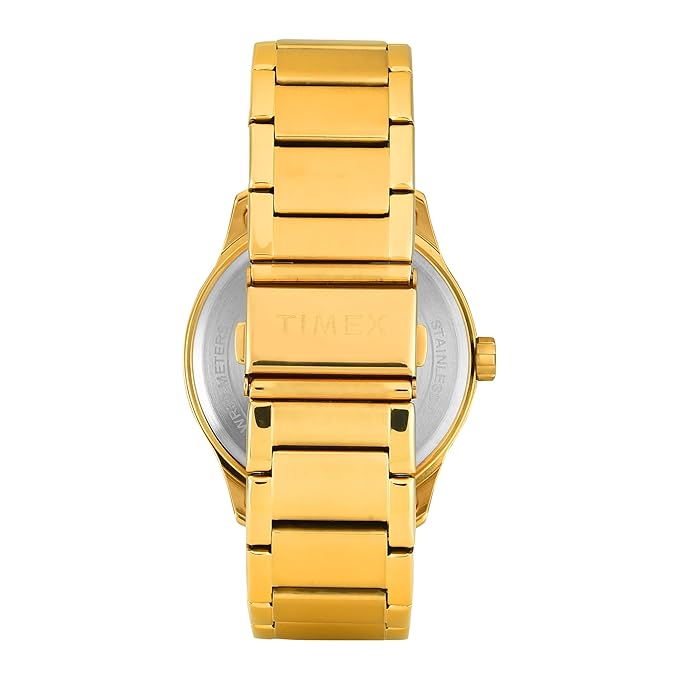 Timex Full Roman Green Dial Astrological Men's Watch - TW0TG7640 - KRISHNA WATCH COMPANY