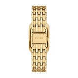 Fossil Raquel Quartz Women 23 mm ES5513