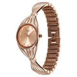 TITAN Raga Memories Quartz Analog Rose Gold Dial Watch For Women - NT95254WM01F