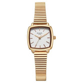 Titan Raga Showstopper Watch For Women - 95355WM01