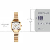 Titan Raga Showstopper Watch For Women - 95355WM01