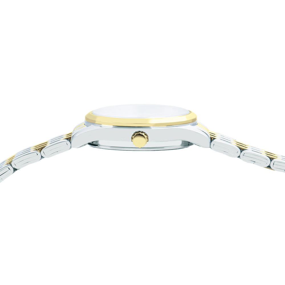 Alba Women Silver & Gold Gradient Shimmer Dial Watch AH7EY6X1 - KRISHNA WATCH COMPANY