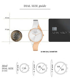 Calvin Klein Women's Silver Analog Stainless Steel Watch 25200237 - KRISHNA WATCH COMPANY
