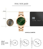 Daniel Wellington Iconic Unisex Green Round Dial Analog Watch - DW00100419K