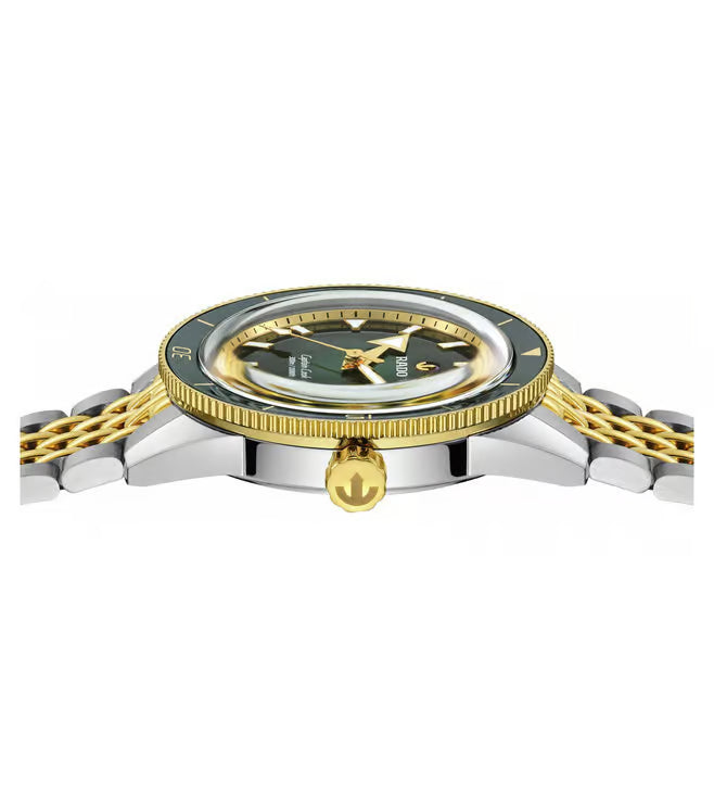 RADO Captain Cook Automatic Unisex 39 mm R32225313 - KRISHNA WATCH COMPANY