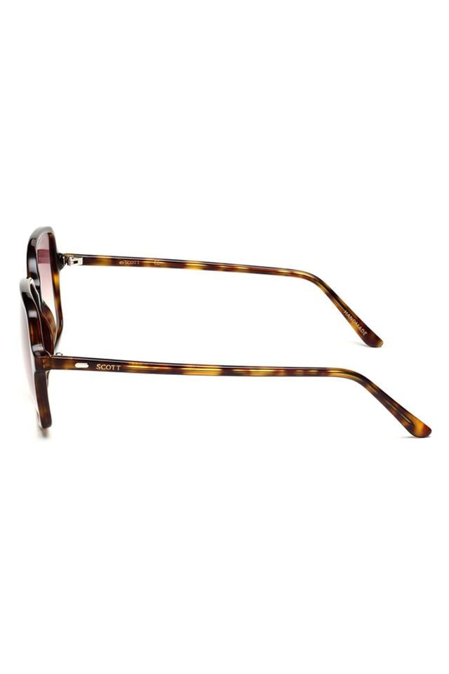 Scott Womens SC 10009 C2 55 S Full Rim Non-Polarized Square Sunglasses - KRISHNA WATCH COMPANY