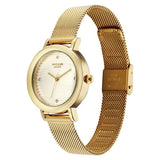 Poze By Sonata Quartz Analog Silver Dial Golden Metal Strap Watch For Women SP80211YM01W
