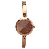 Titan Raga Viva Rose Gold Dial Metal Strap Watch 2606WM07