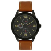 TITAN Black Dial Brown Leather Strap Watch 1585NL01