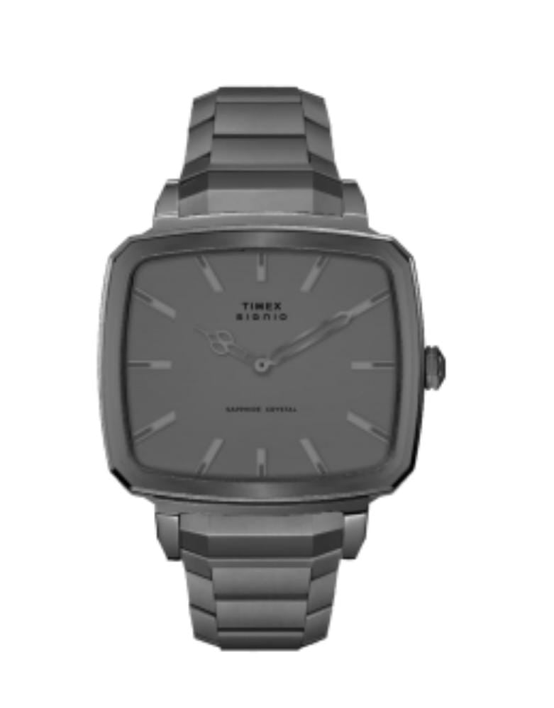 Timex Signio Zephyr Gunmetal Dial Watch TWEG34102 - KRISHNA WATCH COMPANY