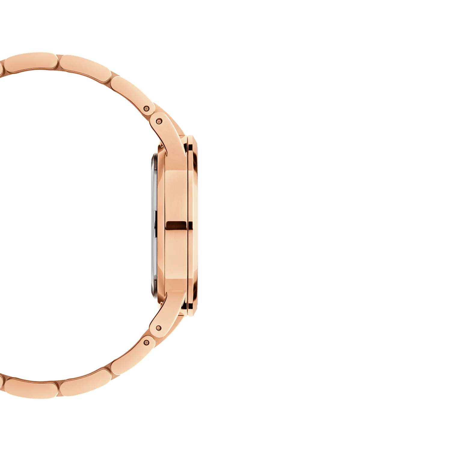 Daniel Wellington Iconic Link - DW00100212 - KRISHNA WATCH COMPANY
