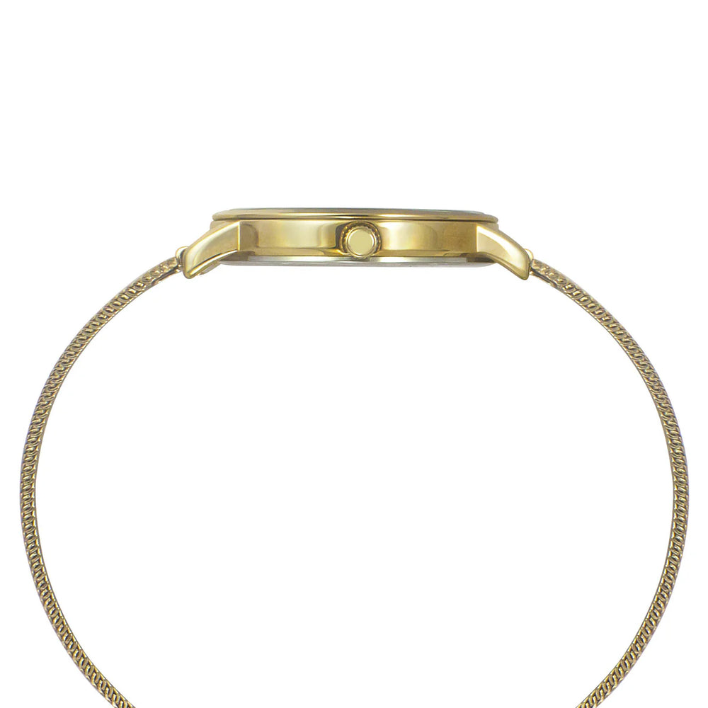 Timex TWEL15601 Watch Analog Watch - For Women - KRISHNA WATCH COMPANY