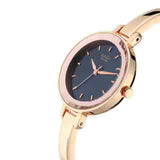 Titan Raga Blue Dial Metal Strap Watch - 2575WM02