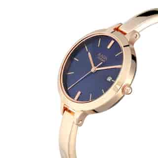 Titan Raga Blue Dial Metal Strap Watch NL2578WM02 (DJ586) - KRISHNA WATCH COMPANY