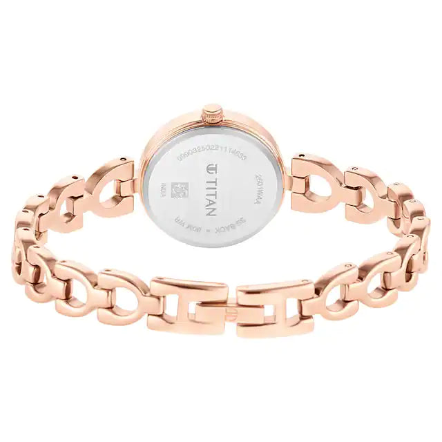 TITAN Lagan Brown Dial Metal Strap Watch - 2601WM04