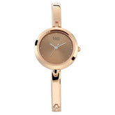 TITAN Raga Viva Rose Gold Dial Metal Strap Watch 2606WM05