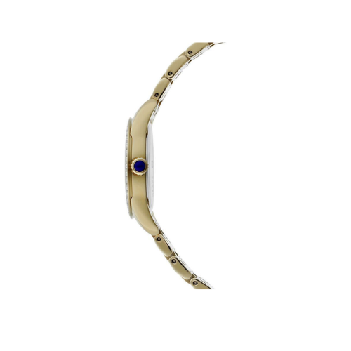 Seiko Discover More Analog Watch SRZ386P1