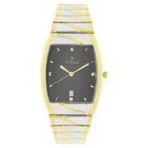 Titan Black Dial Silver Stainless Steel Strap Watch 9315BM02