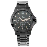 Titan Black Dial Stainless Steel Strap Watch 1698NM01