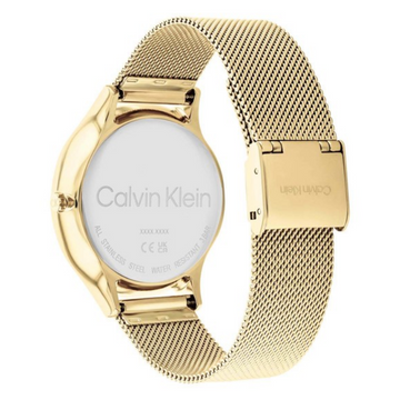 Calvin Klein 25200103 Timeless Mesh Multifunction Watch for Women - KRISHNA WATCH COMPANY