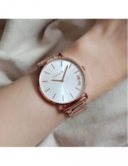 Womens Perry Silver White Dial Stainless Steel Analogue Watch - CO14503576W - KRISHNA WATCH COMPANY